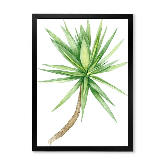 Designart 'Close Up Of Yucca Tree' Traditional Framed Art Print