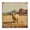 Southwestern Cattle Portrait Cactus Canyon, variant on Stupell Industries Contemporary Canvas Art, 17 x 17, by Irena Orlov