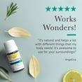 thumbnail image 7 of Pranarom Organic Essential Oil Blend 5ml Calming Lavender, Rosemary, Clary Sage, Pine, Cedarwood, Cardamom, 7 of 7