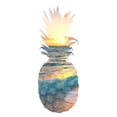 thumbnail image 2 of Allen, Kimberly 20x24 White Modern Wood Framed Museum Art Print Titled - Beach Sunsets 2, 2 of 4
