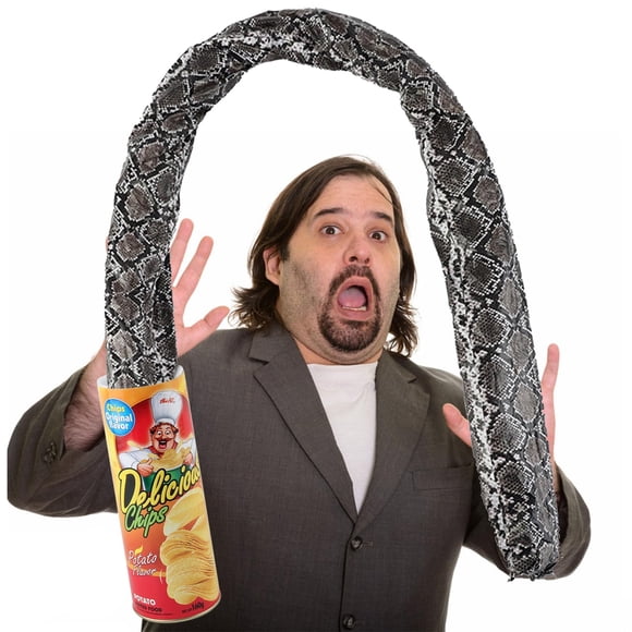 Winbar Prank Gifts for Kids Funny Classic Snake in a Can Prank for Kids Magic Potato Chip Cans Fries Toys April Fools' Day and Halloween Party Decoration