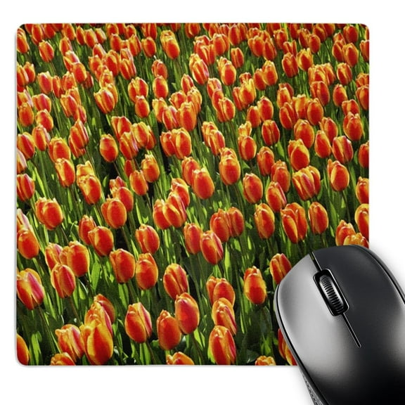 3dRose, Field Of Orange Tulips, MousePad