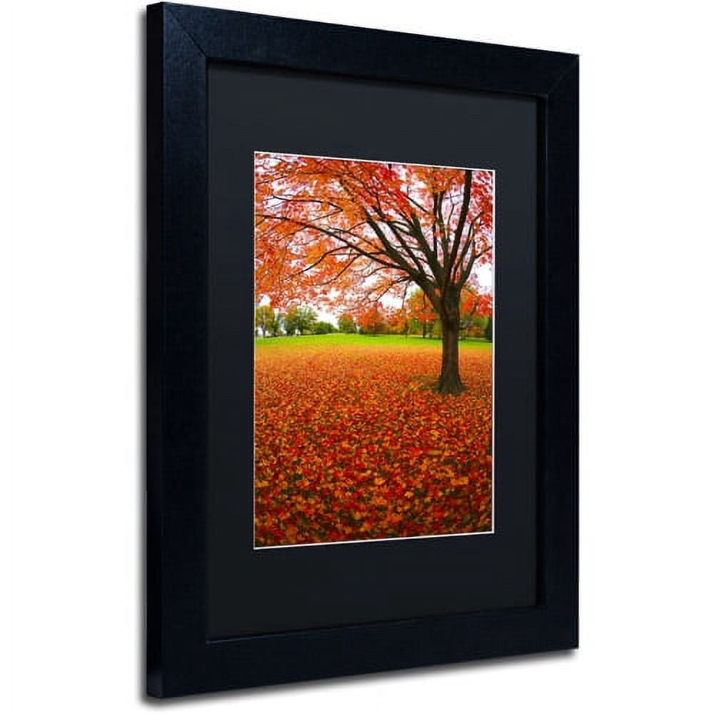 Trademark Fine Art "Autumn Expressions" Canvas Art by CATeyes, Black Matte, Black Frame