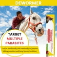 thumbnail image 4 of Iver m e ctin Anti-Parasite Paste 6.08g - Targets Pinworms, Strongyles & Caterpillar Larvae 1PC, 4 of 7