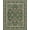 Green, Pattern 2, variant on ODIKA Traditional Center Motif Distressed Border Vintage Boho Faded Playful Expressive Stain Resistant Low Profile for Dorm Room, Small Living Apartment
