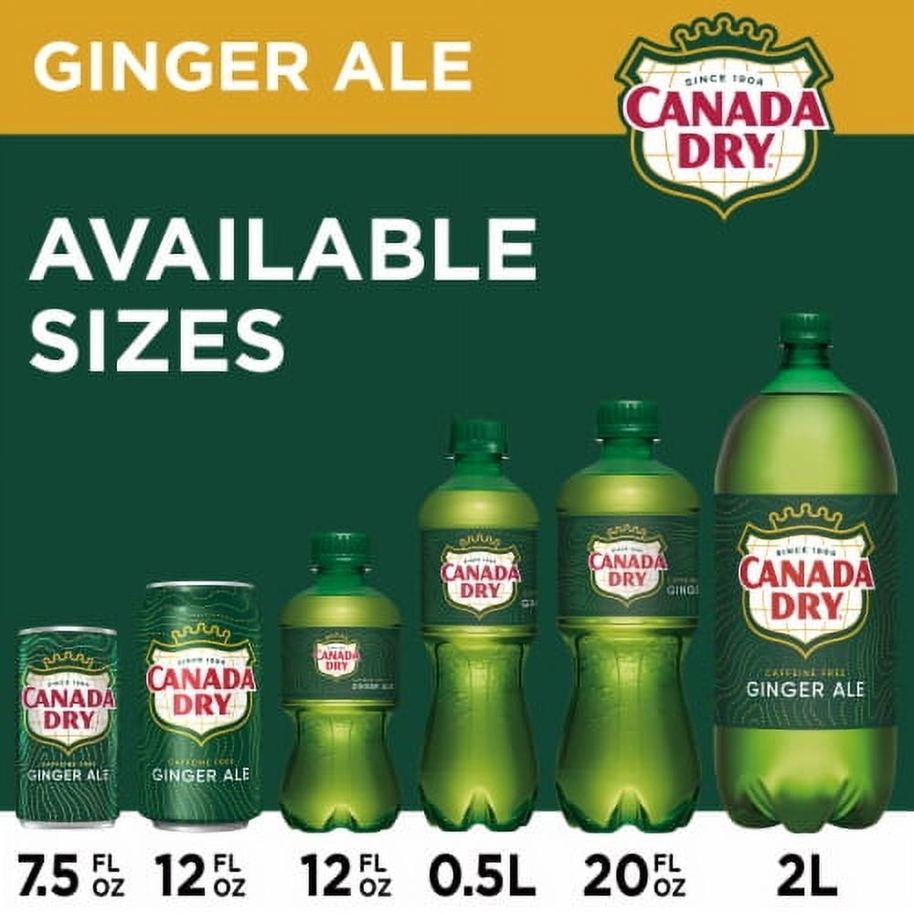 2X-Canada Dry Ginger Ale Soda Mini Cans - 7.5 fl oz - 10 pk