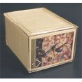 thumbnail image 1 of BCW PM-PC250 New Pro-Mold Snap-Box - 250 Count - Gameday, 1 of 3
