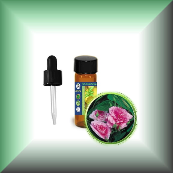 Rose Essential Oil (Rose Otto, Rosa Damascena)