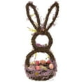 thumbnail image 6 of Northlight Floral Grapevine Bunny Shaped Easter Basket Decoration - 21", 6 of 6