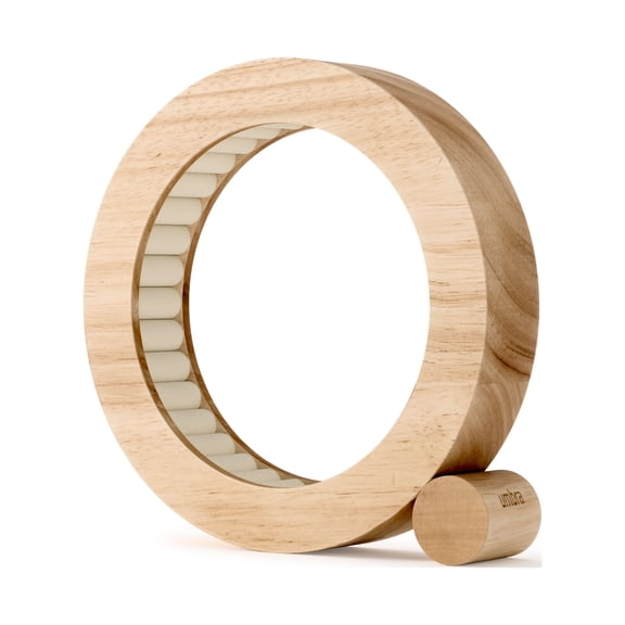 Umbra Ferris Jewelry Organizer