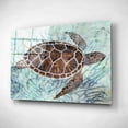 thumbnail image 2 of Epic Art 'Sea Turtle Collage 1' by Stellar Design Studio, Acrylic Glass Wall Art, 16"x12", 2 of 3