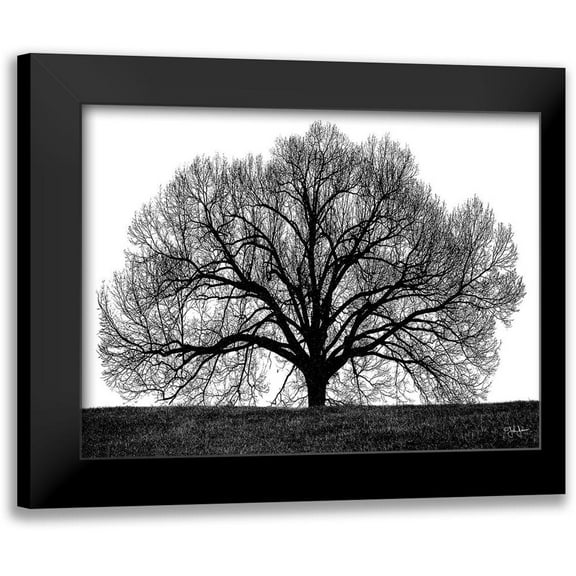 Jones, John 14x12 Black Modern Framed Museum Art Print Titled - The Tree