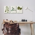 thumbnail image 2 of Stupell Industries Botanical Latin Study Detailed Wild Plant Leaves Graphic Art Gallery Wrapped Canvas Print Wall Art, Set of 3, Design by World Art Group, 2 of 5