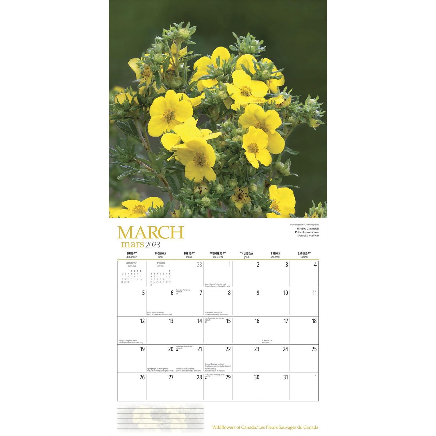 Wildflowers of Canada | 2023 12x24 Inch Square Wall Calendar
