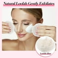 thumbnail image 3 of 50 Pcs Loofah Exfoliating Face Pads 2.36 Inches Round Natural Loofah Sponge Loofah Body Face Scrubber Remove Dead Skin Facial Loofah Pad Bulk for Bath Shower Spa Skin Scrub Cleaning Women Men, 3 of 6