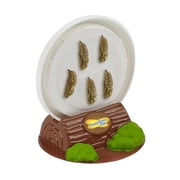 Insect Lore Cup Of Caterpillars™