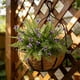 thumbnail image 4 of Qazbgdl - Hojas Persas Artificiales con Mariposas, Paquete de 5 Flores Falsas de Plástico Morado, Amarillo, Rosa, Blanco y Verde para Decoración de Jarrones, Arreglos Florales de 16,5 Pulgadas para S, 4 of 6