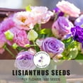 PLATAGO Mixed Lisianthus Seeds for Planting Annual Lisianthus Double