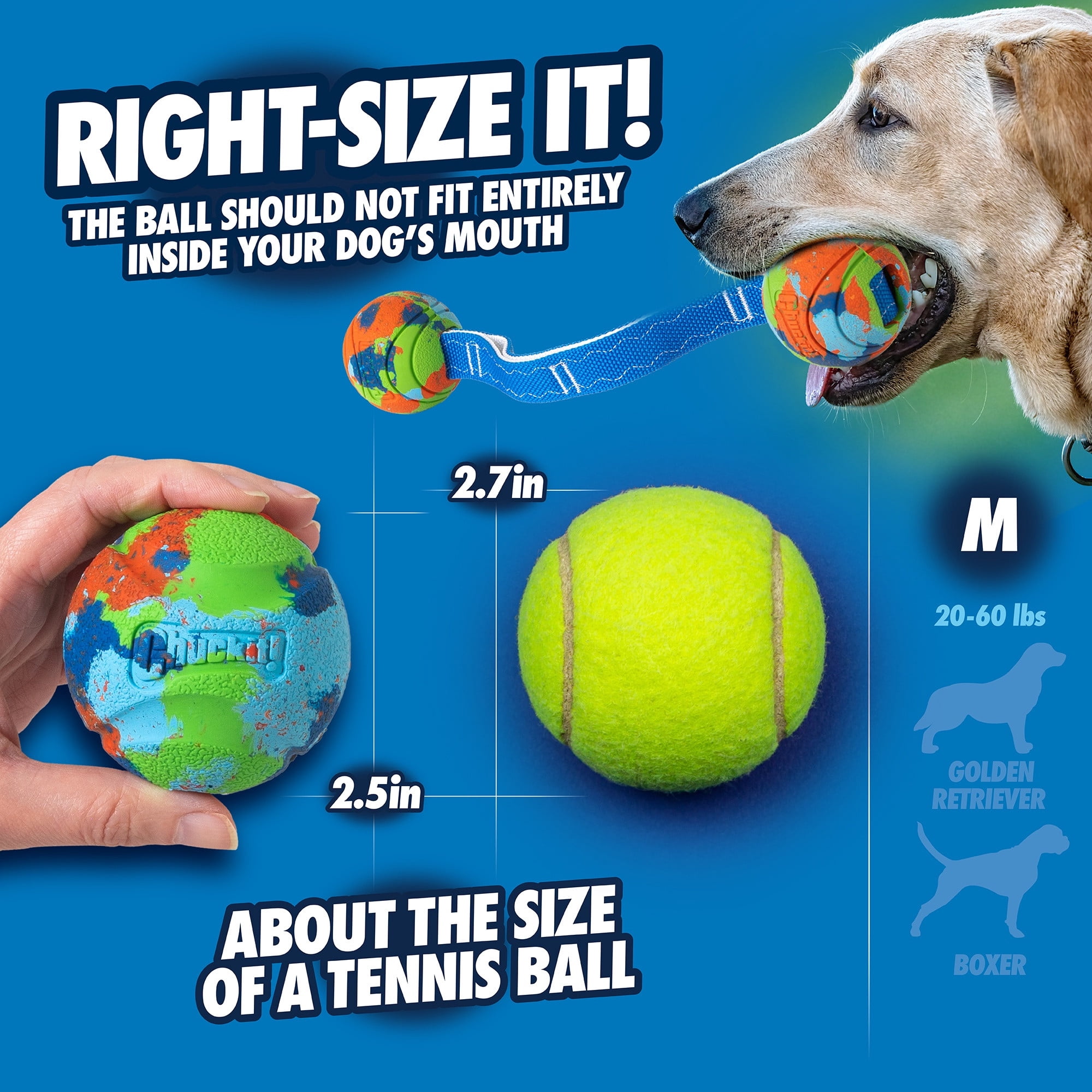 Chuckit! EcoFetch Ultra Duo Tug Recycled Rubber Dog Ball Fetch Toy for Dogs, Medium 2.5" for Pets 20 to 60 lbs, Pack of 1