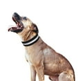 thumbnail image 4 of Gostoto Standard Dog Collar,Reflective Tactical Dog Collar For Medium And Large Dogs, 4 of 4