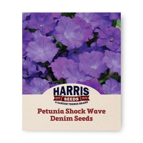 Harris Seeds - Petunia Seeds - Shock Wave Denim F1 Variety - Early  Blooming - 25 Pelleted Seeds