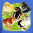 thumbnail image 3 of CafePress - Five Chicks Dark T Shirt - Men's Classic Graphic Cotton T-Shirt, 3 of 4