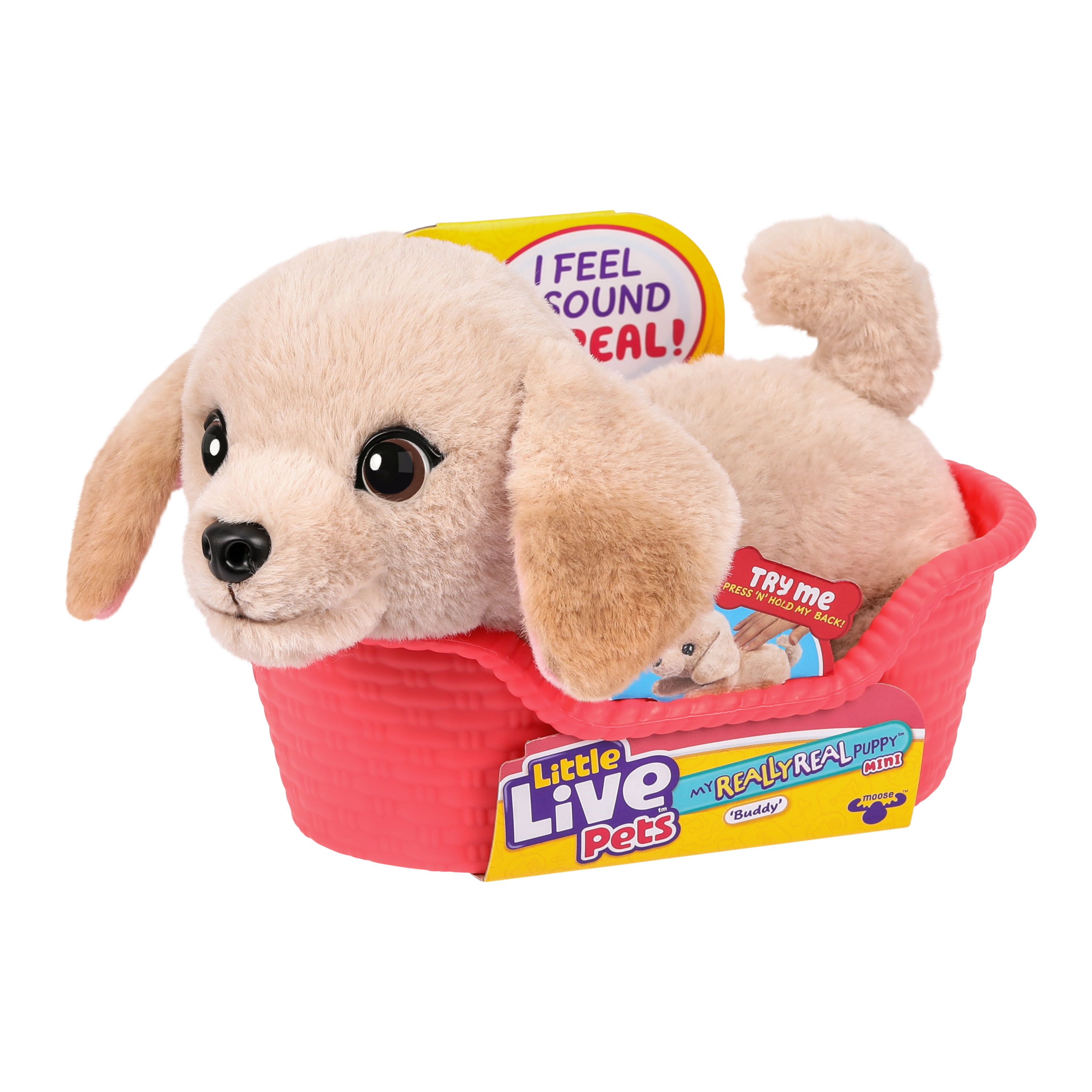 Little Live Pets My Really Real Puppy Minis Buddy the Retriever