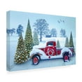 thumbnail image 2 of Celebrate Life Gallery 'Snowy Red Truck' Canvas Art, 2 of 3