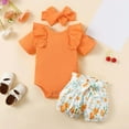 thumbnail image 2 of Baby Girl Clothes Infant Outfits Ruffle Sleeve Romper Bodysuit Floral Pants Newborn Clothes Toddler Girl Outfit Sets Size 3M-2T, 2 of 9