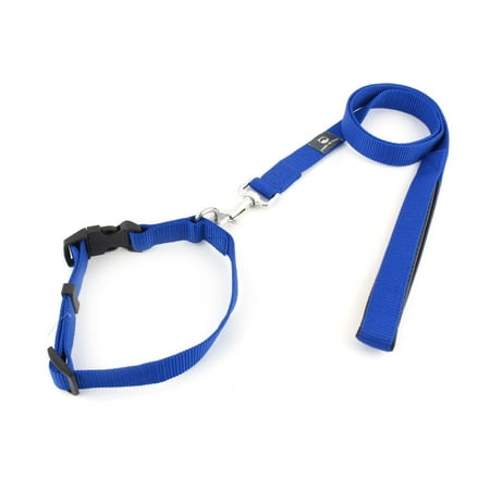 Dog Lead Home Bargains Dog Lead Home Bargains