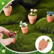 thumbnail image 3 of 5 piezas, 5 estilos, accesorios para plantas en miniatura, escala 1:12, maceta para rosas, modelo de jardín en maceta, decoración de micro paisajes, 3 of 5