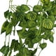 thumbnail image 4 of Guirnalda de Follaje Zulema 2 Uds Hoja artificial, 4 of 8