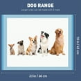 thumbnail image 5 of 50 Count Dog Pee Pads, 18" x 23" Super Absorbent Dog Pads with 6-Layer, Leak-Proof Dog Potty Training Pads Quick Dry Disposable Baby Pads, Cat Rabbit Potty Pet Pads, 5 of 8