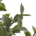 thumbnail image 3 of Bouclair Plante Artificielle Verte en Pot, 3 of 7