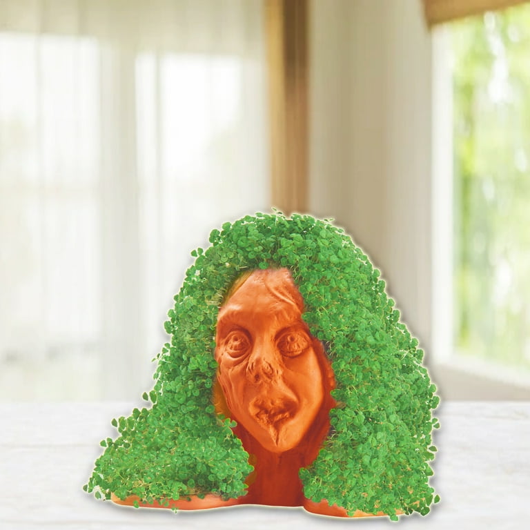 Chia Pet Zombie Lifeless Lisa - Decorative Pot with Chia Seed