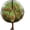 Black, variant on Plant Protection Netting with Drawstring Closure Breathable Garden Mesh Cover for Fruit Trees and Vegetables 4x4.6 Ft Black