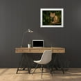 thumbnail image 3 of Galloimages Online 14x12 White Modern Wood Framed Museum Art Print Titled - Bobcat Kitten On Branch, 3 of 4