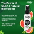 thumbnail image 4 of Scully's Long-Lasting Aromotherapy Deodorant for Day and Night - 24-Hour Odor and Sweat Protection - Dual Action Deodorant Solution Set, Deo Spray for AM and PM, 4 of 7