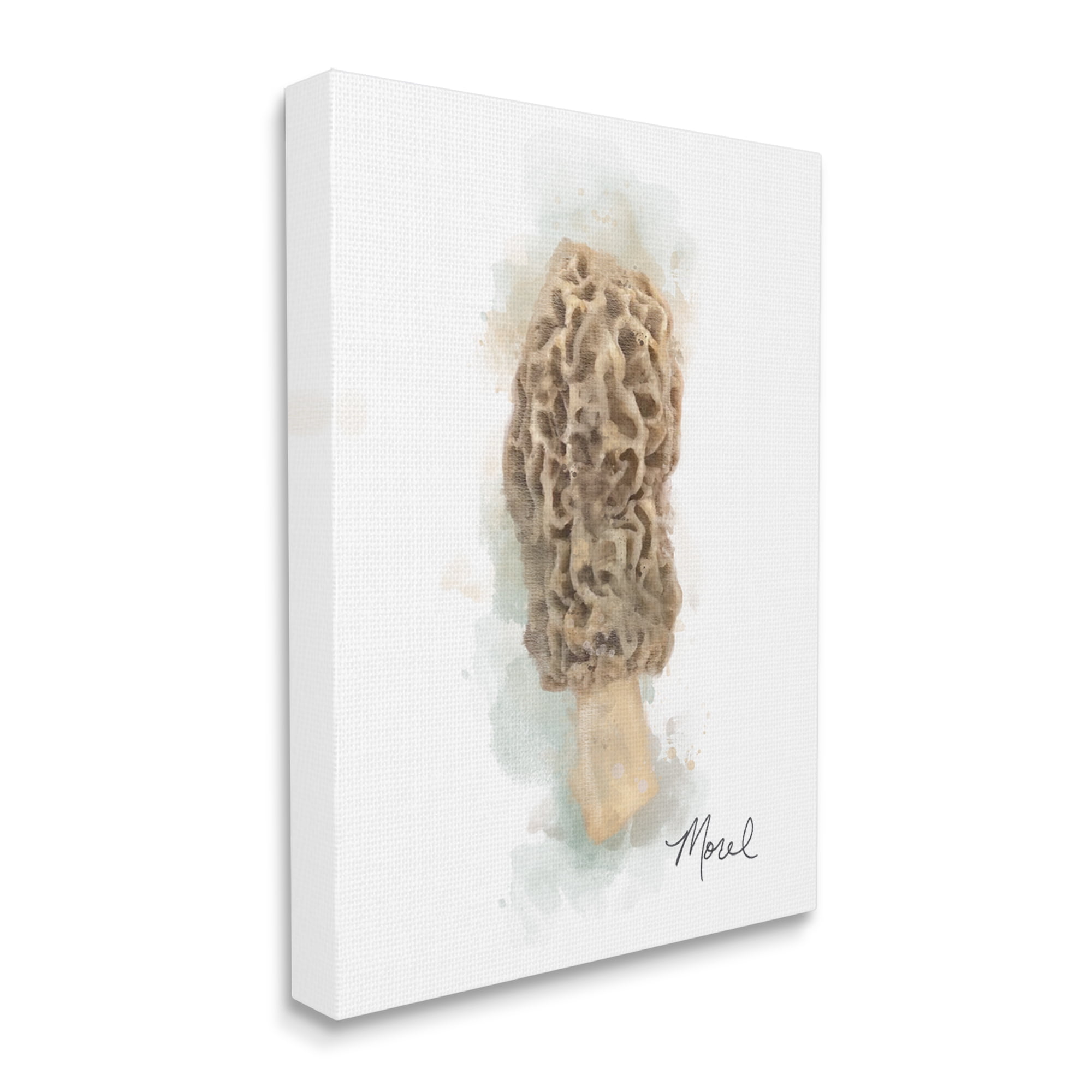 Stupell Industries Abstract Morel Mushroom Botanical & Floral Painting Gallery Wrapped Canvas Art Print Wall Art, 24 x 30