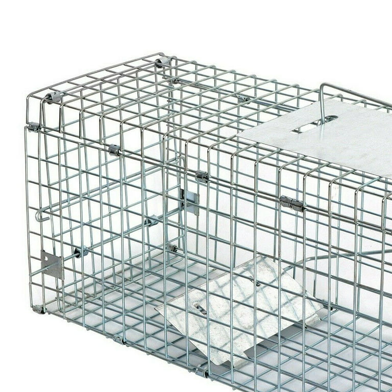 Moclever Humane Cat Trap Cage Catch Release Live Animal Rodent Cage  Collapsible Galvanized Wire for Small Raccoons Beavers Groundhogs Foxes