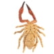 thumbnail image 4 of de Modelo de Animal Escorpión Amarillo Juguete Decoración para hogar Coleccionable, 4 of 7