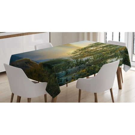 

Nature Tablecloth Sunny Day by Misty Lake with Tree Summer Season Horizon August Landscape Rectangular Table Cover for Dining Room Kitchen 60 X 84 Inches Fern Green Light Blue by Ambesonne