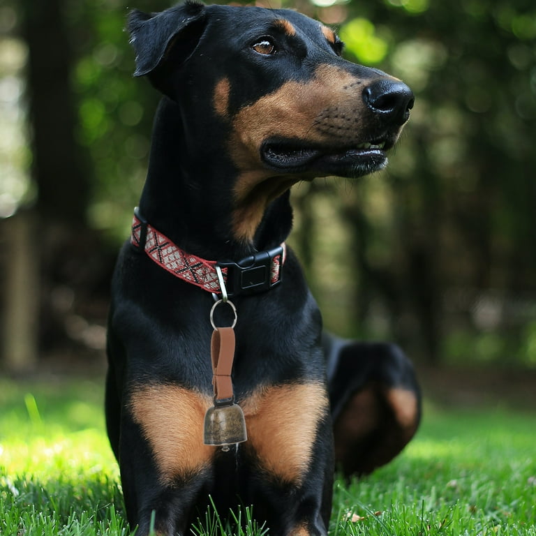Cowbell for dog collar hotsell