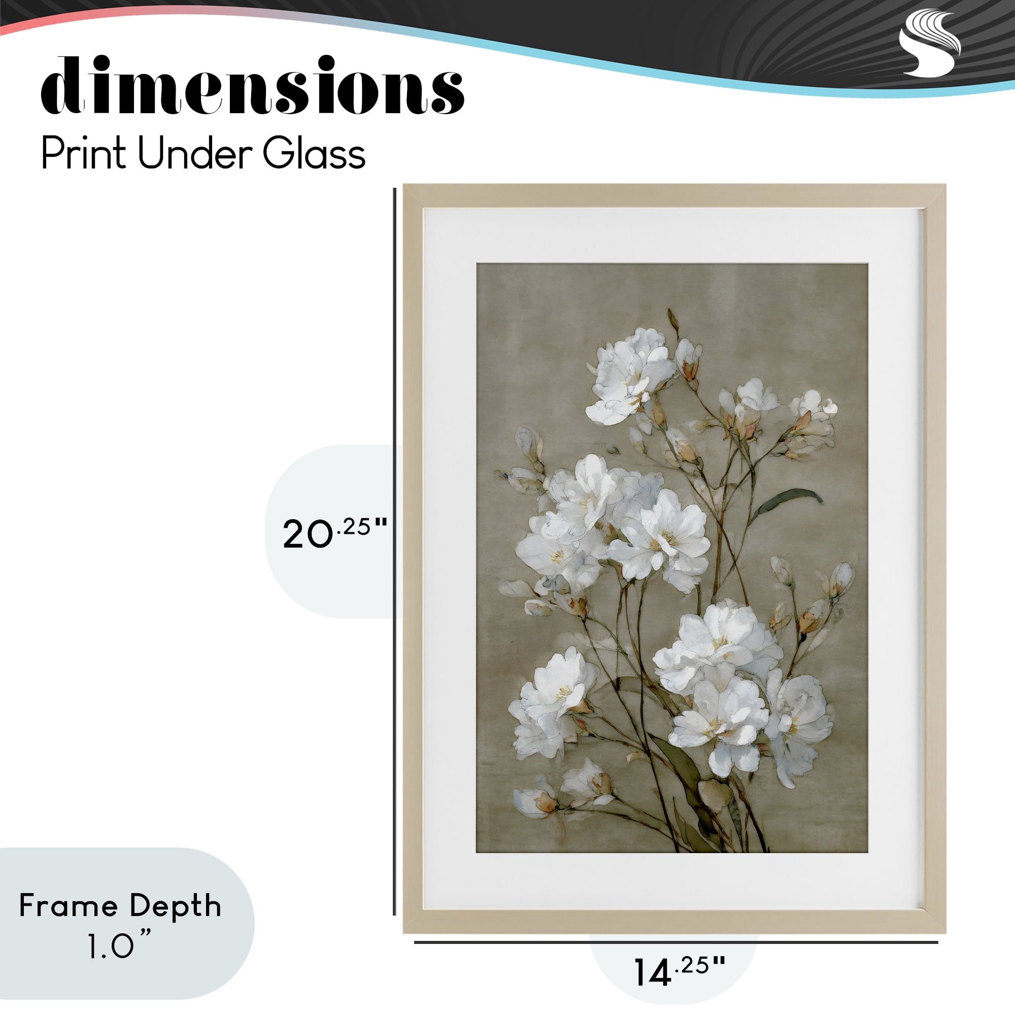 Stupell Industries Aged White Botanical Study Birch Framed Print Under Glass, design by Petal Prints Design