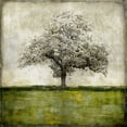 thumbnail image 2 of Turner, Eric 20x20 White Modern Wood Framed Museum Art Print Titled - Majestic - Green, 2 of 4
