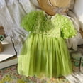 thumbnail image 2 of JUoaLXG Baby Girls Casual Dresses Summer Mesh Solid Color Butterfly Print Crew Neck Short Sleevele Dance Party Sundress Activewear,Green,18-24 Months, 2 of 4
