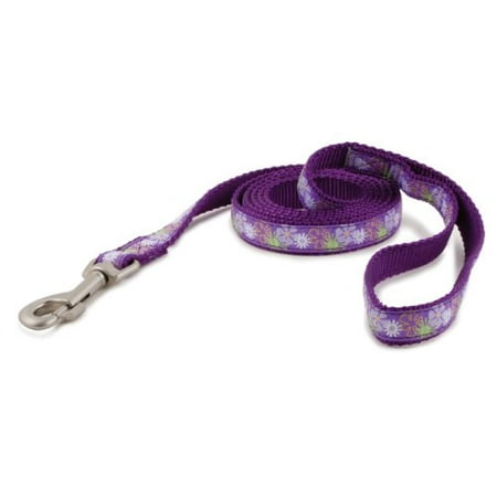 PetSafe Fido Finery Pet Leash, 1/2-Inch by 6-Feet, Randomness