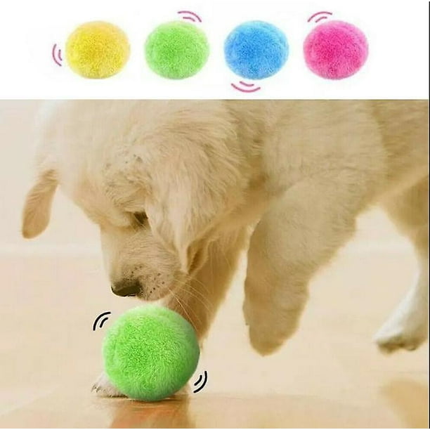 Magic rolling ball for dogs on sale