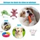 thumbnail image 4 of Juego de 10 juguetes para perros, cuerda masticable resistente para perros pequeños y medianos, que promueve la salud (multicolor), 4 of 4