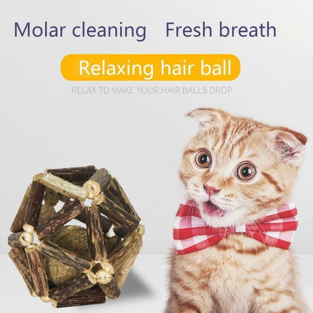 Fiudx Palitos Masticables de Hierba Gatera, Madera Natural con Menta Fresca, Ayudan a Limpiar Los Dientes, Refrescan La Boca, Divertido Juguete para Gatos, Ayuda para La Salud, Tamaño de 7 Cm, 1 Piez